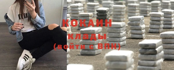 ПСИЛОЦИБИНОВЫЕ ГРИБЫ Волосово