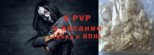 соль ск Дмитриев