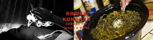 дмт Дмитровск