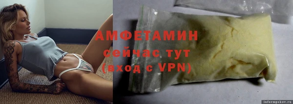 соль ск Дмитриев