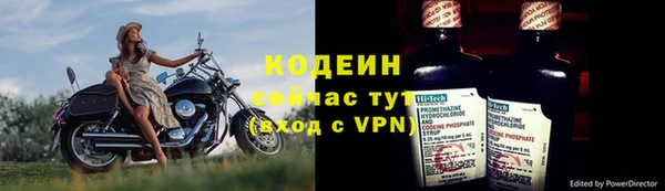 эйфоретик Вяземский