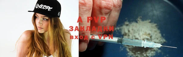 дмт Дмитровск