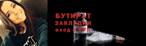 соль ск Дмитриев
