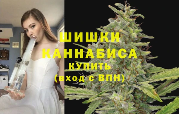 дмт Дмитровск