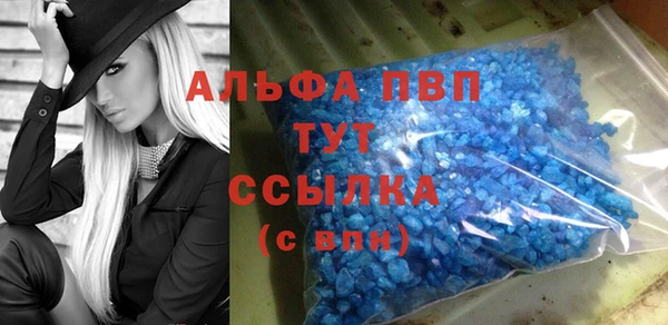 дмт Дмитровск