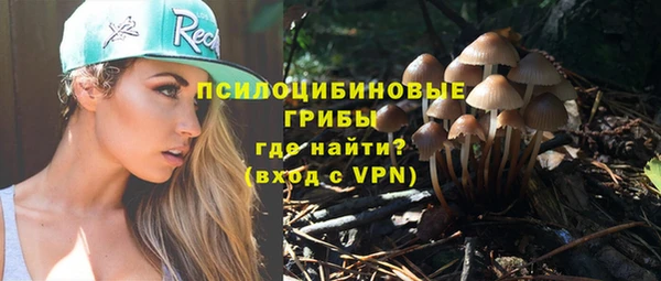 дмт Дмитровск