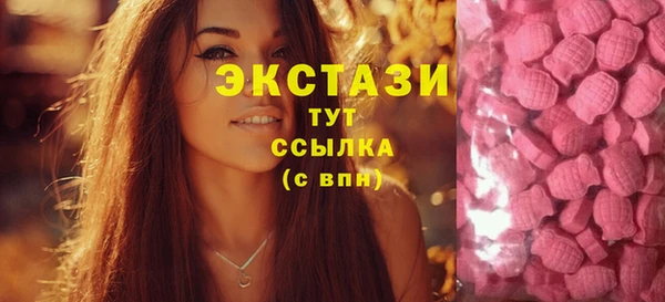 дмт Дмитровск