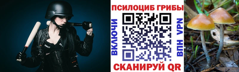 omg маркетплейс  купить наркотики цена  Оханск  Галлюциногенные грибы GOLDEN TEACHER 